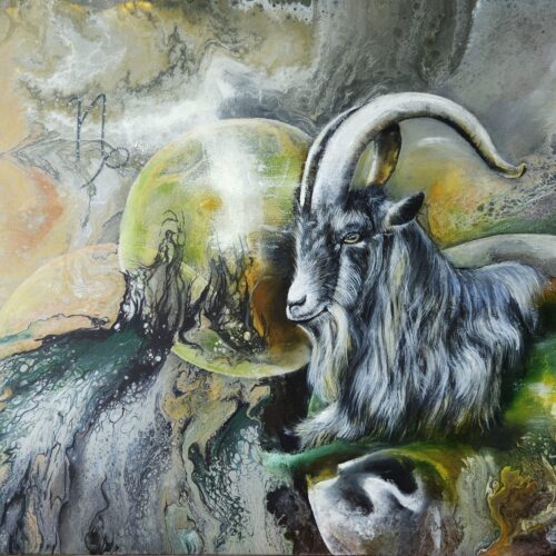 Capricorn 2026y.